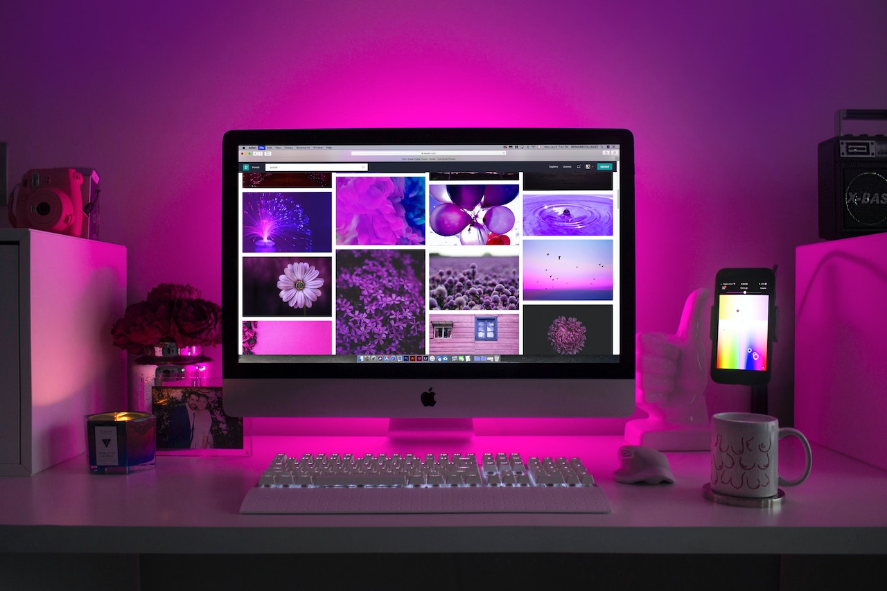 Web Trust IT | Portfolio